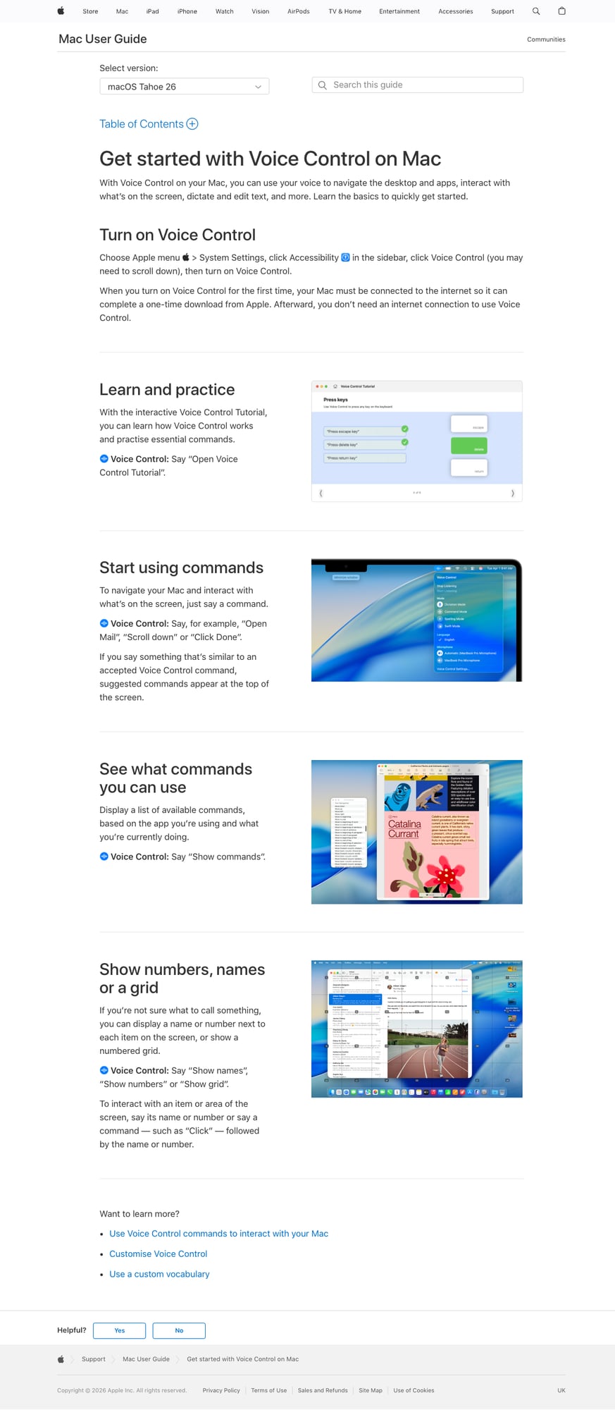 Apple Dictation speech-to-text settings on Mac