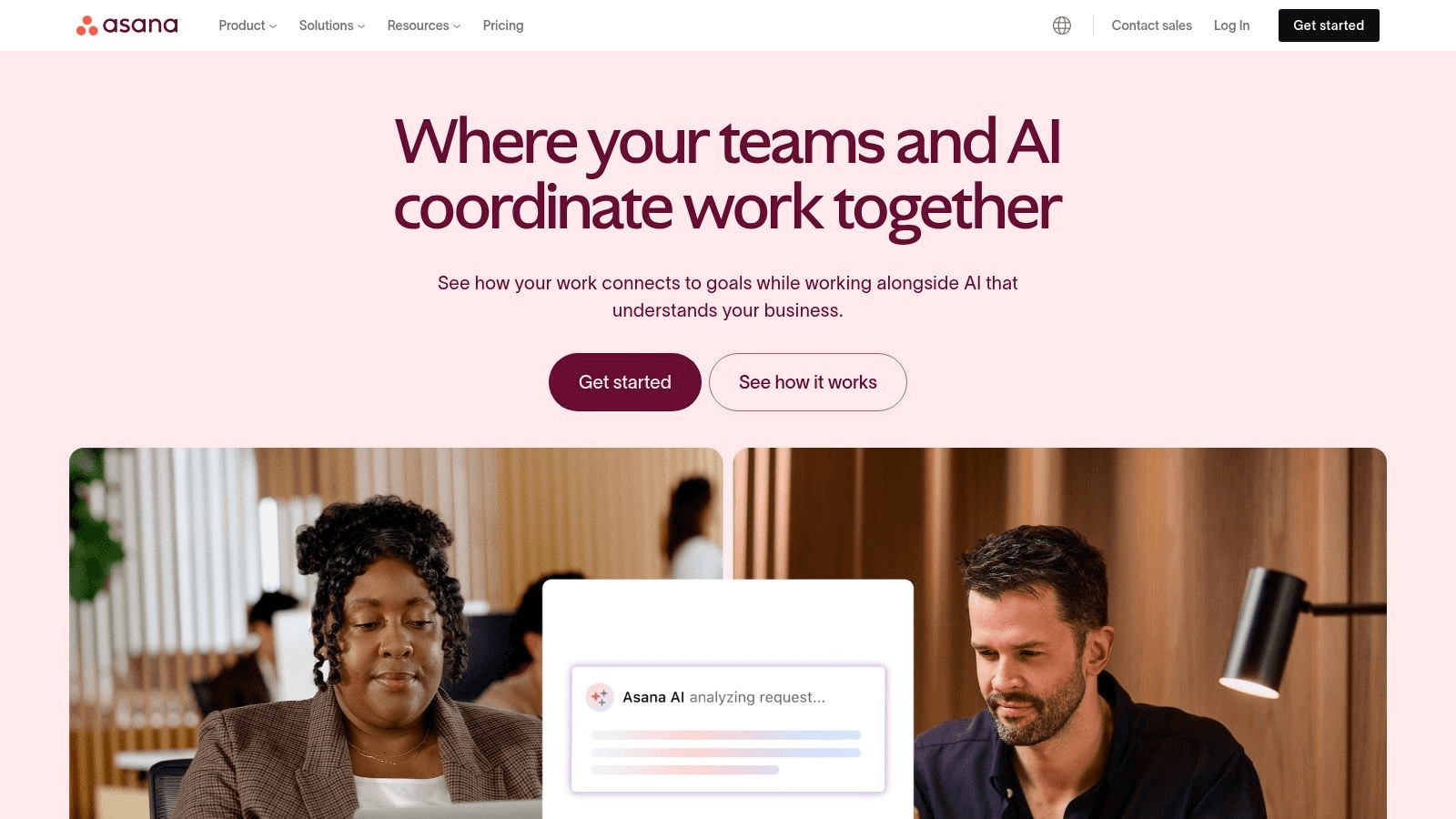 Asana Homepage Screenshot. 
