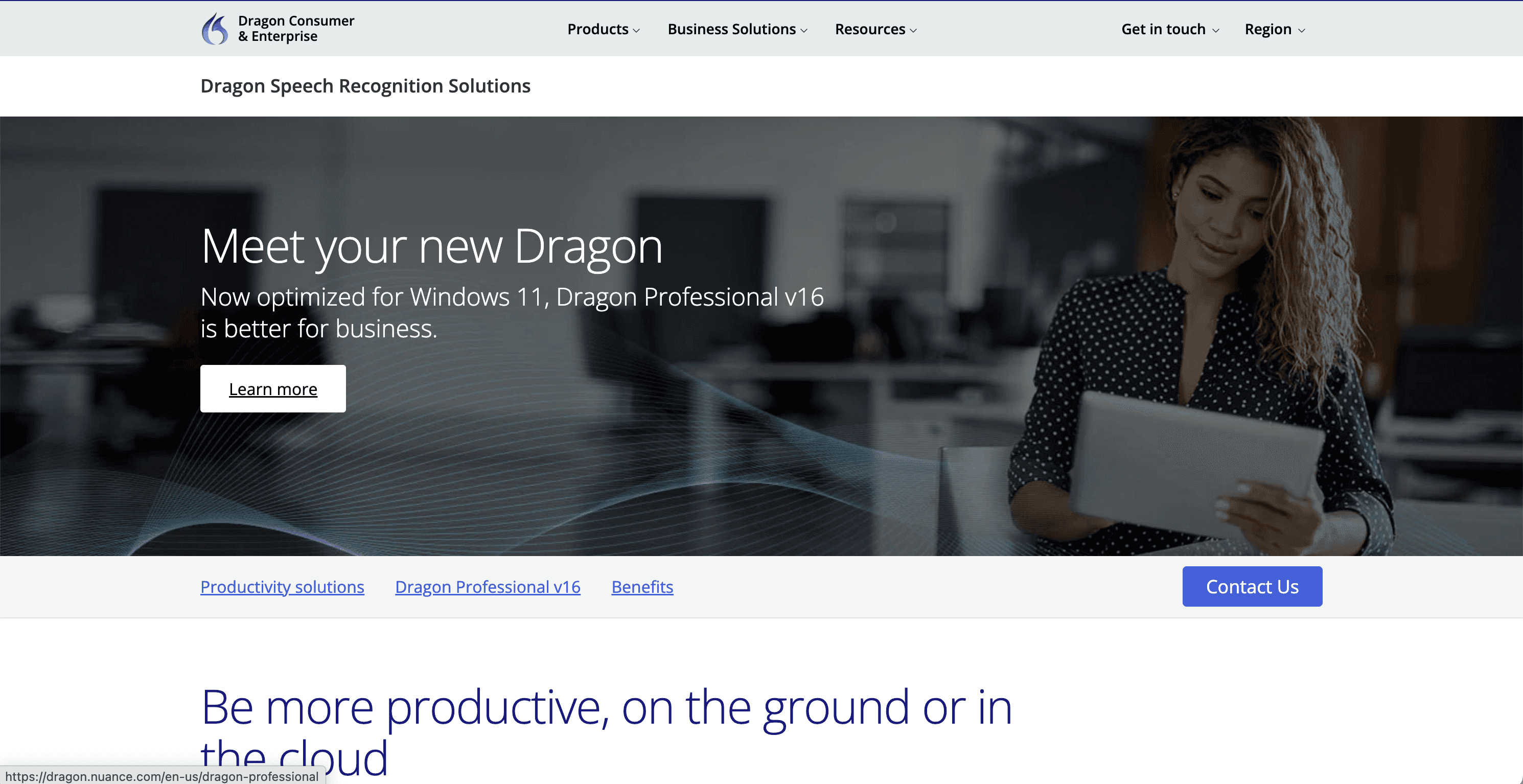 Dragon Professional screenshot